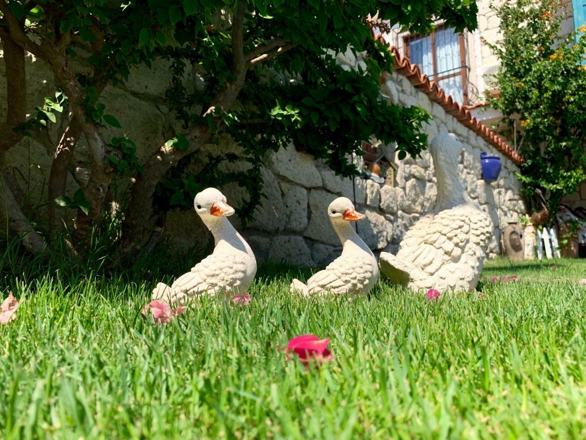 Windmill Alaçatı Alacati Exterior foto